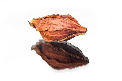 《赛博朋克2077》2.01补丁即将上线 改进整体性能